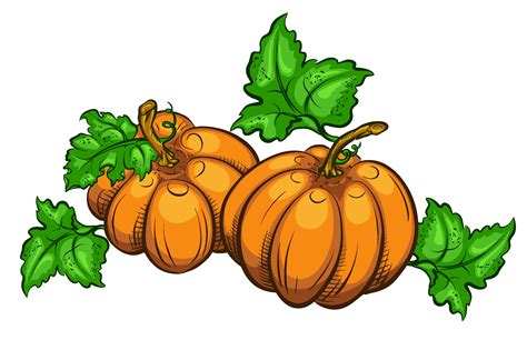 cartoon pumpkins images|pumpkin images clip art.